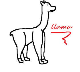 Llama