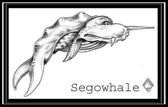 SegoWhale