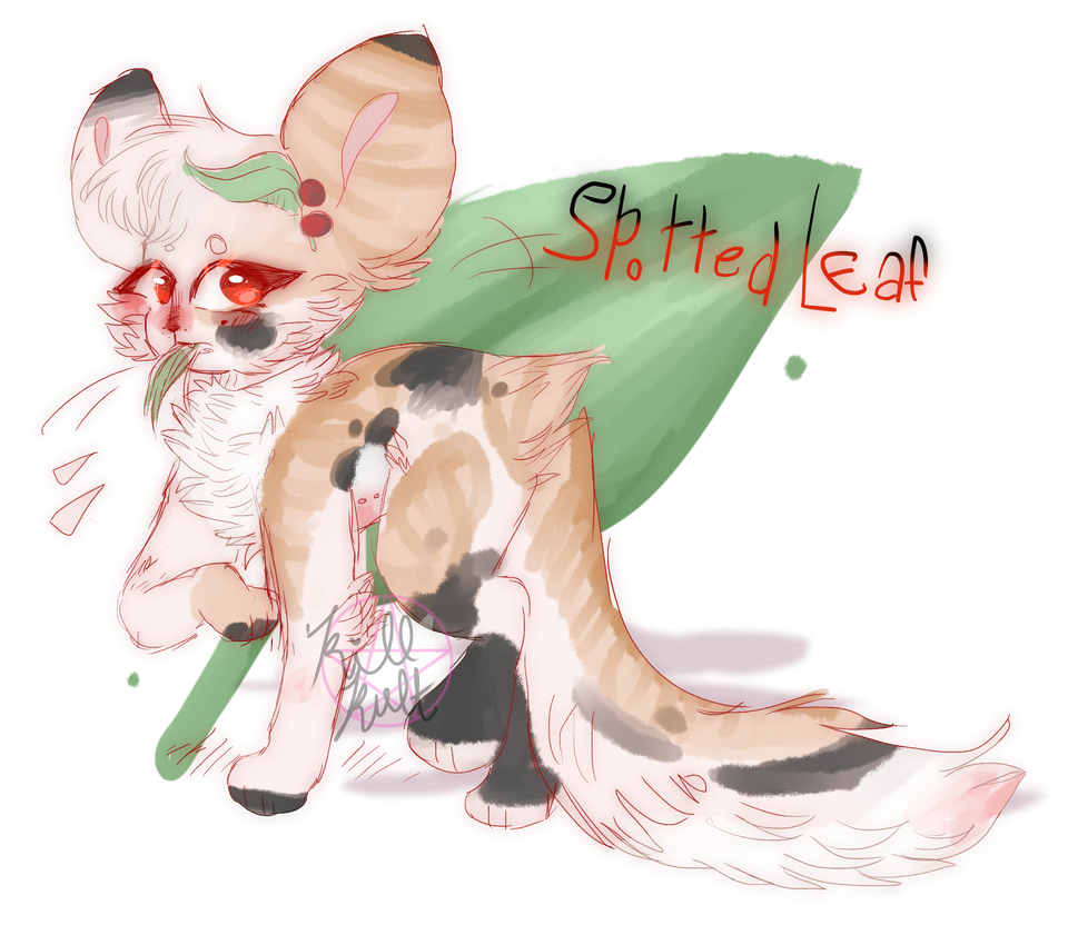 Spottedleaf Drawing +Spotted Leaf + Warriors RE by bitter-decay on DeviantArt