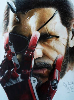 Venom Snake (updated version)