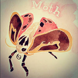 Moth