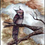 Autumn Owl . Watercolor.