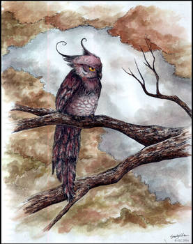 Autumn Owl . Watercolor.