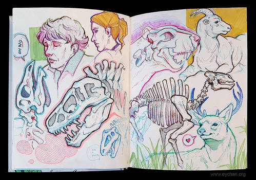 Sketchbook Page Dinosaurs