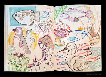 Sketchbook Page Aquarium