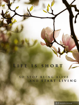 Life Is Short (Start Living)