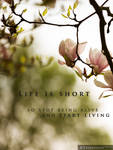 Life Is Short (Start Living) by Unkopierbar