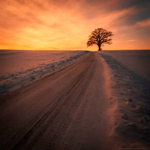 The Everlasting King by Unkopierbar The Everlasting King by Unkopierbar