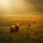 German Highlands by Unkopierbar German Highlands by Unkopierbar