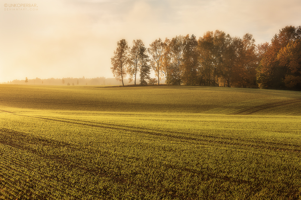 Rural Treasures I