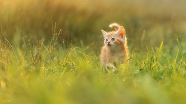 Me so small, world so big!