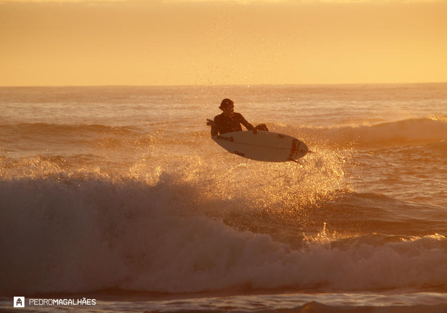 Narciso surf