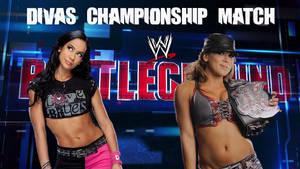 AJ Lee Vs Mickie James - Divas Title