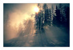 through shadow and mist by Flammi