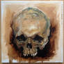 Oil painting skull study