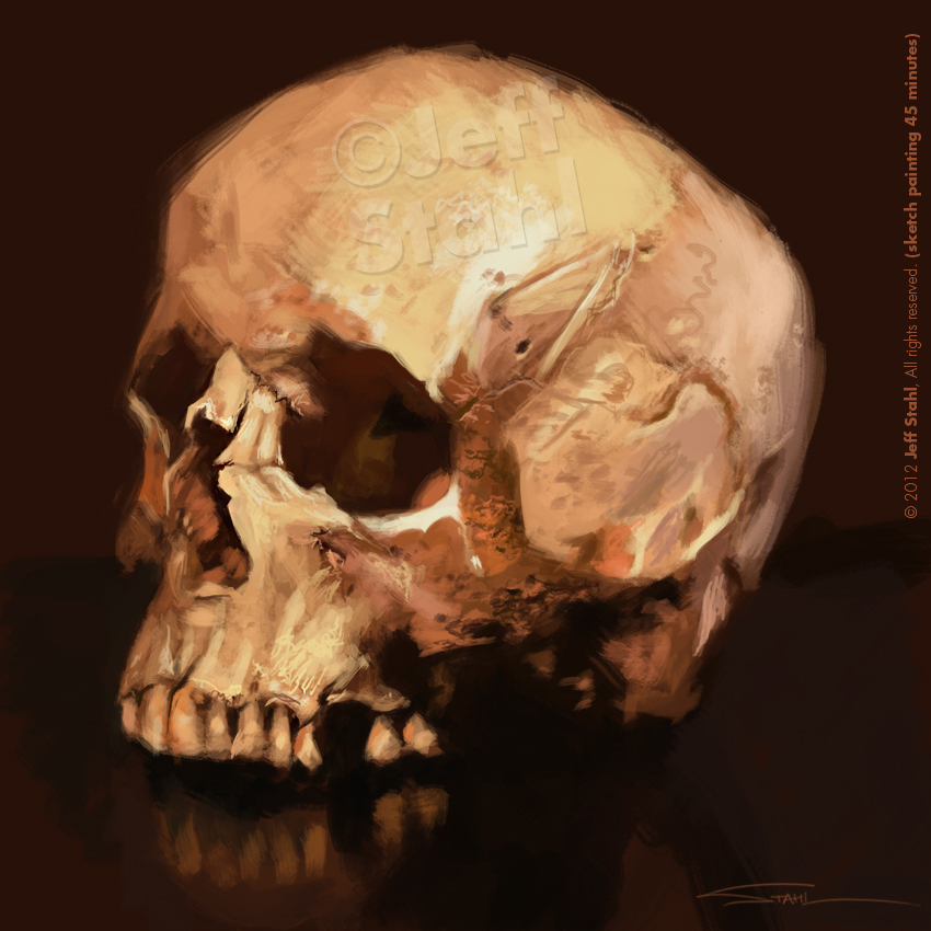 Digital painting skull study