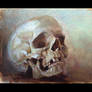 Oil painting skull study II