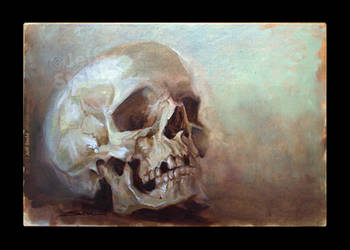 Oil painting skull study II by JeffStahl