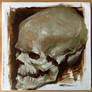 Oil painting skull study III