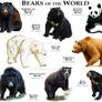 Bears of the World