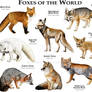 Foxes of the World