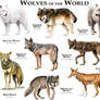 Wolves of the World