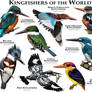 Kingfishers of the World