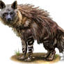 Brown Hyena