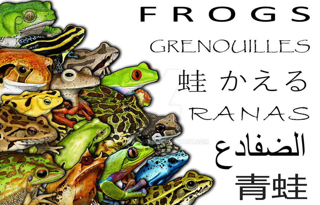 Frogs Collage by rogerdhall on DeviantArt