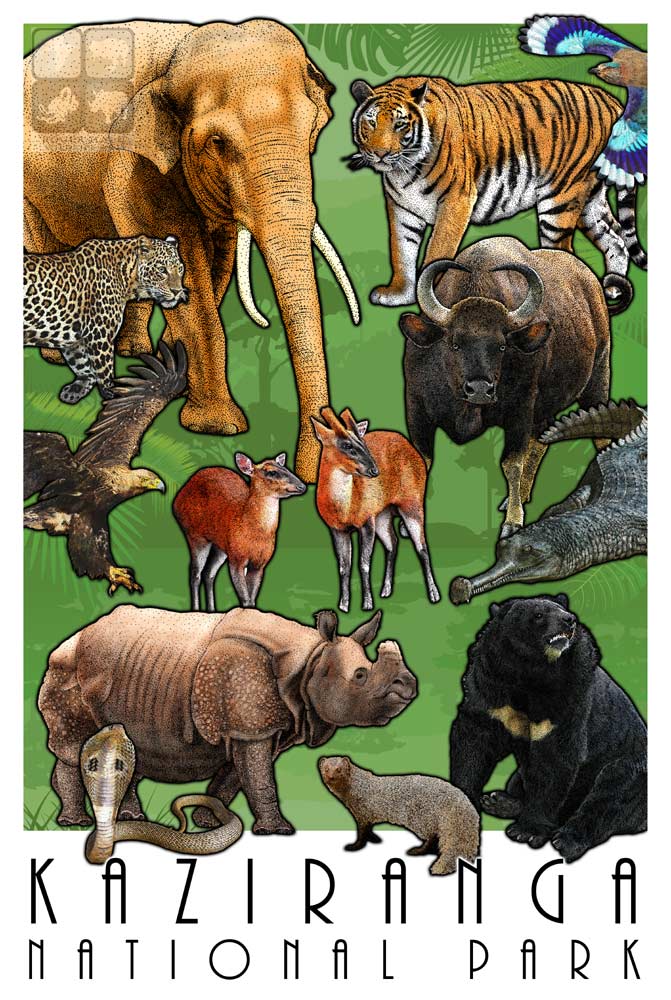Kaziranga National Park by rogerdhall on DeviantArt Kaziranga National Park by rogerdhall on DeviantArt