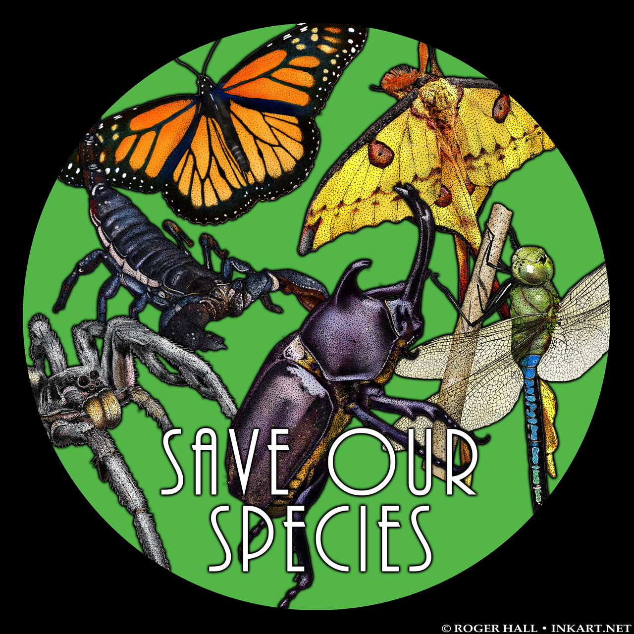 Save Our Species - Insects and Arthropods by rogerdhall on DeviantArt