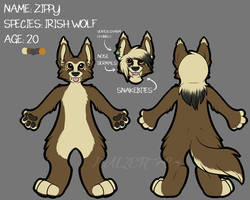 Ref Sheet: Zippy the Irish Wolf