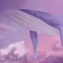 Whale