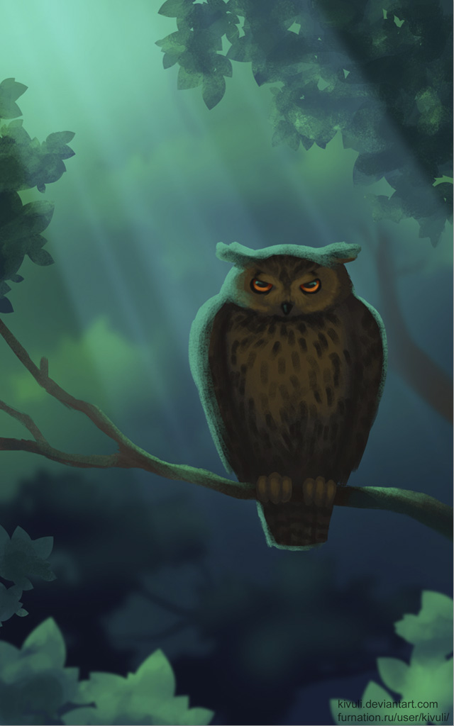 Owl