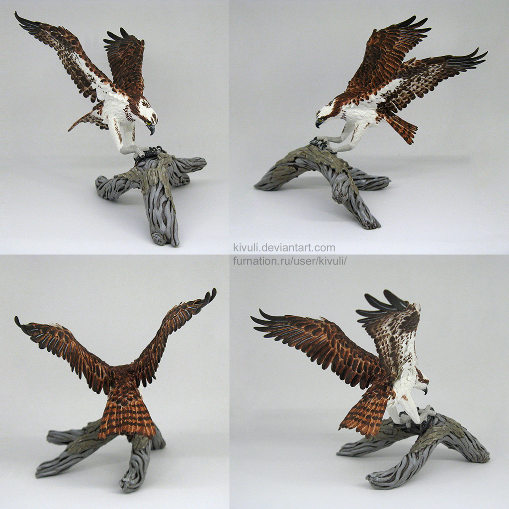 Osprey's hunt