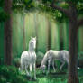 Unicorn's forest