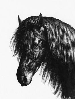 Friesian