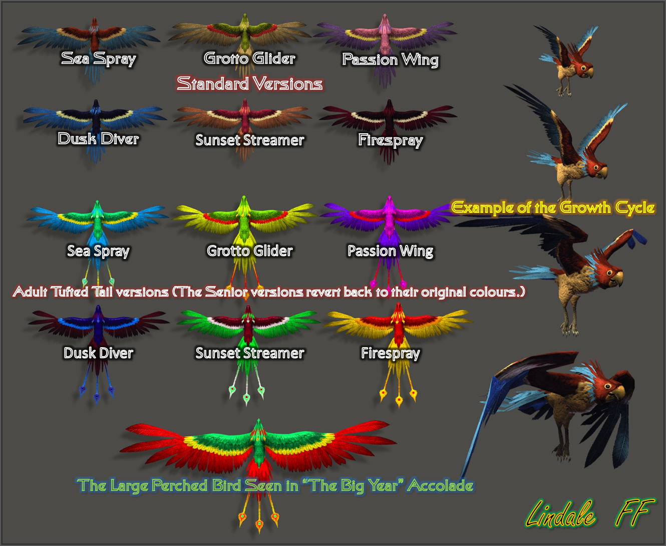 Risa Parrots by Lindale-FF
