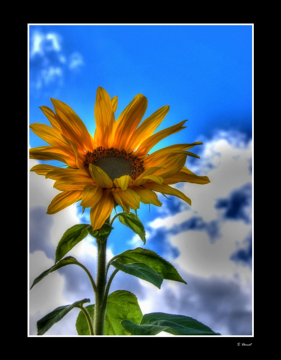 Turn Away by Affraid on DeviantArt