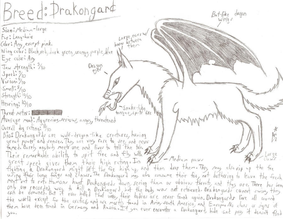 Drakongard