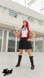 Erza and... her sword