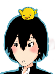 Hibari and Hibird - KHR