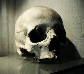Skull (Sedlec Ossuary)
