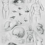 Anatomy Sketches and Other