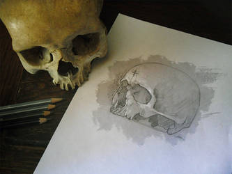 Skull Study Drawing | Practice