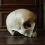 III. Skull Stock | 3/4 View