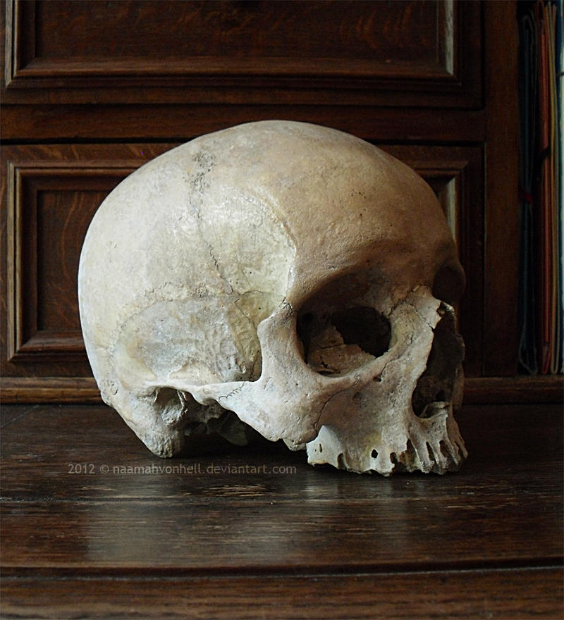III. Skull Stock | 3/4 View