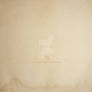Paper Texture