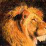 For Cecil - Lion, oil on cardboard