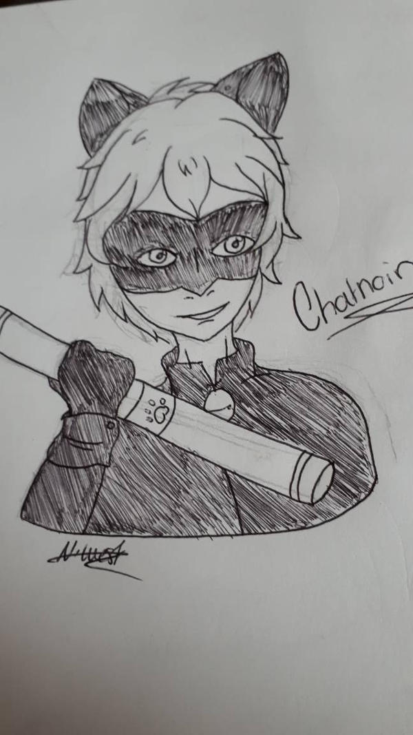 Chatnoir Head Sketch 